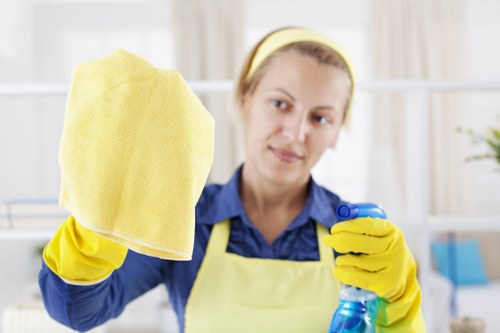 Upholstery cleaning process for sofas in W11