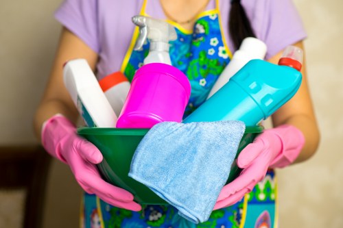 Eco-friendly cleaning service for homes and businesses in W11