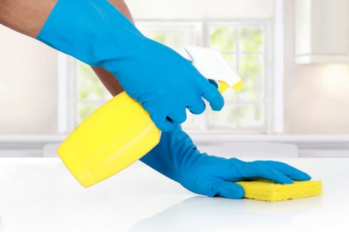 Professional oven cleaning in W11 removing grease from a kitchen oven