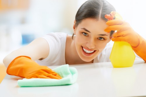 Additional carpet care for rugs and upholstery
