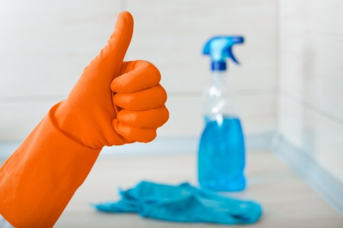 Experienced oven cleaner in W11 polishing a glass oven door