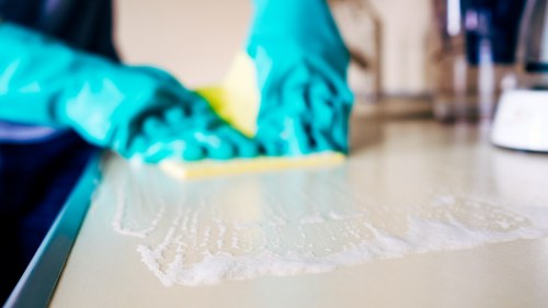 Staff assessing a carpet cleaning issue report