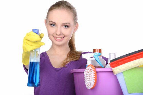 Payment and final invoice details for a carpet cleaning service